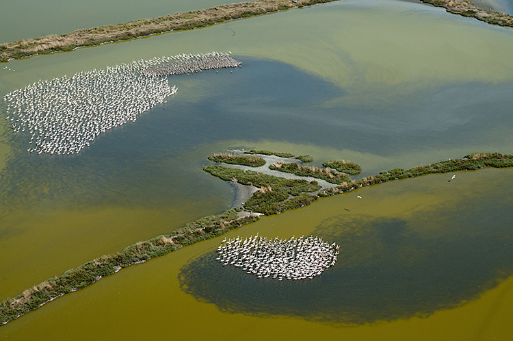 Parco del Delta del Po
<br>Tra bellezze naturali e storia
