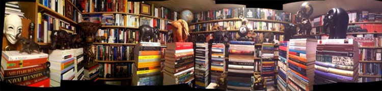 Hannibal Library